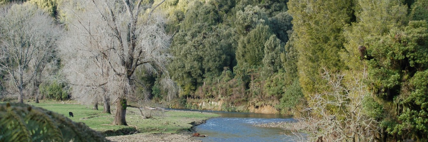 Upper Awakino River