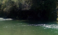 Lee Valley Waimea River