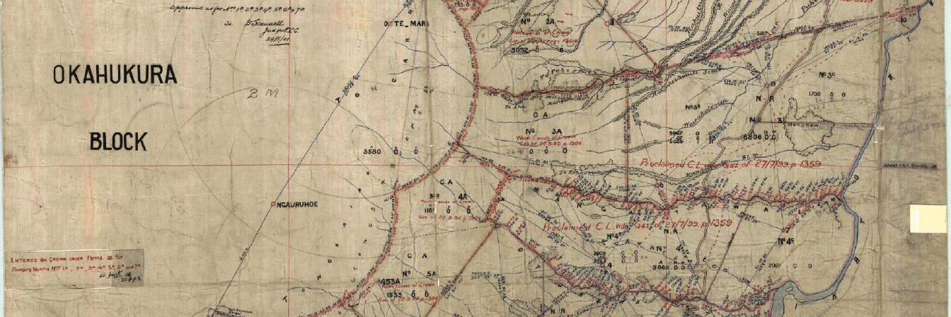 Rangipo survey map 1891