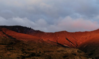 Wanaka hills