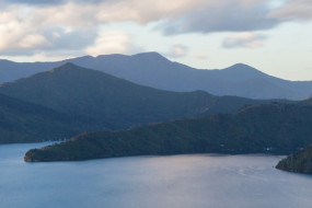 Picton Harbor from Queen Charlotte Track