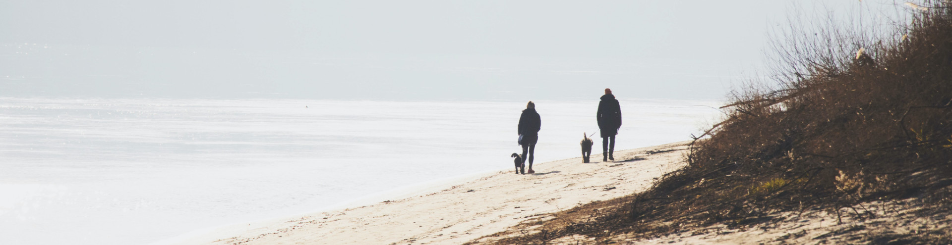 dog walk on beach benjamin brunner