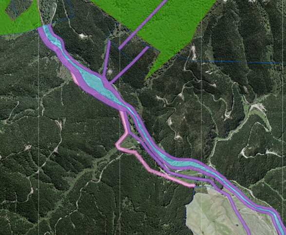 Map 4: example showing PAE that has been depicted in the cadastre (highlighted pink) (PAE 3 Pine Valley, OneFortyOne Plantations).&amp;amp;amp;amp;amp;amp;amp;amp;amp;amp;amp;amp;amp;amp;amp;amp;amp;amp;amp;amp;amp;amp;amp;amp;amp;nbsp;