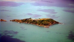 Matiu Somes Island