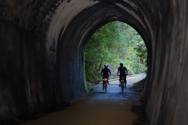 Spooner Tunnel, Great Taste Cycle Trail. Photo Credit: Chocolate Dog Studio