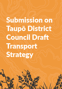 Submission on Taupo District Council Draft Transport Strategy 100
