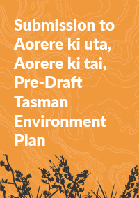 Submission to Aorere ki uta Aorere ki tai Pre Draft Tasman 100