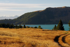 Lake Tekapo Landscape