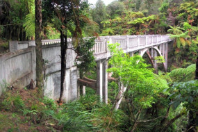 The Bridge to Nowhere on the Mangapurua Track
