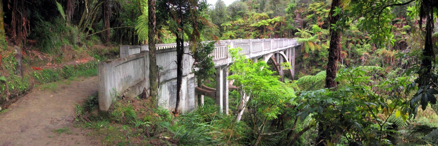 The Bridge to Nowhere on the Mangapurua Track