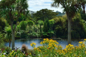 Lower Lake and flora, Auckland Botanic Gardens